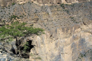 Die jäh abfallenden Steinwände in der 1.000 Meter tiefen Wadi Nakhar Schlucht erfordern absolute Schwindelfreiheit, Oman - © FRASHO / franks-travelbox