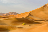 Die scheinbar endlosen Sanddünen der Wüste Rub al-Khali erreichen im Oman eine Höhe von über 200 Metern - © KamilloK / Shutterstock