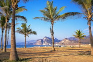 Künstlich gepflanzte Palmen komplettieren die fantastische Urlaubsszenerie, die sich am Strand von Mughsayl auftut, Oman - © Ondrej Vavra / Shutterstock