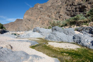 Pools, Gärten, steile Wände und wilde Felsformationen findet man im Wadi Dhayqah und Wadi Suwayh, Oman - © FRASHO / franks-travelbox