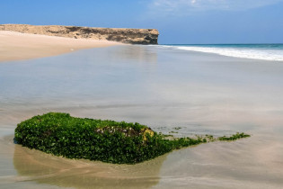 Strand bei Ras Al Jinz, Oman