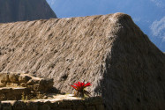 Impression in der Inkastadt Machu Picchu, Peru - © flog / franks-travelbox