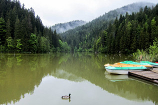 Der Lacul Roşu entstand im Jahr 1837 durch einen massiven Felsrutsch, der nicht nur Erdreich sondern gleich einen ganzen Wald mit sich riss, Rumänien