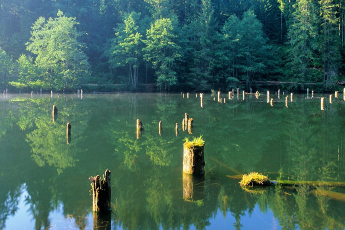 Rund um den idyllischen See liegt der Nationalpark Bicaz-Klamm/Haşmaş-Gebirge, der auf knapp 20 markierten Wanderwegen erforscht werden kann, Rumänien