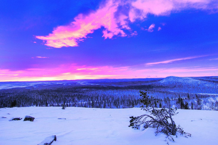 Sonnenaufgang über der winterlichen Landschaft im Muddus-Nationalpark in Laponia, Schweden