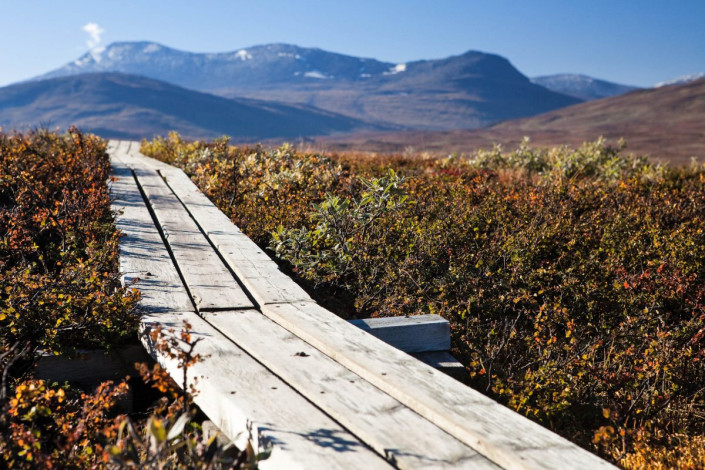Trekking Pfad im Nationalpark Padjelanta, dem mit fast 200.000 Hektar größten Nationalpark Schwedens