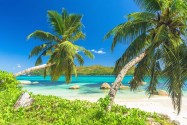 Der schlanke Küstenstreifen des Anse Boudin auf Praslin liegt in der Nähe der Küstenstraße, die auch zum Anse Lazio führt, Seychellen - © Filip Fuxa / Shutterstock