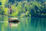 Ein Großteil der Ausflugsboote kann dank des stillen Wassers mit Rudern angetrieben werden, sodass nichts die himmlische Ruhe des Bleder Sees stört, Slowenien - © FRASHO / franks-travelbox