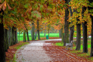 Der Tivoli Park im Nordwesten von Ljubljana lädt das ganze Jahr über zum Joggen, Radfahren, Spaziergehen und Entspannen an der frischen Luft ein, Slowenien