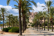 Am Ufer des Parc de la Mer in Palma de Mallorca laden einige, von unzähligen Palmen beschattete Bänke zum Flanieren und Verweilen ein, Spanien - © James Camel / franks-travelbox