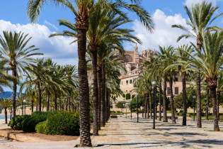 Am Ufer des Parc de la Mer in Palma de Mallorca laden einige, von unzähligen Palmen beschattete Bänke zum Flanieren und Verweilen ein, Spanien