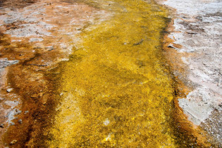 Algen und Mineralien färben die Wasserläufe aus den vulkanischen Quellen im Yellowstone Nationalpark in den verschiedensten Farben, USA