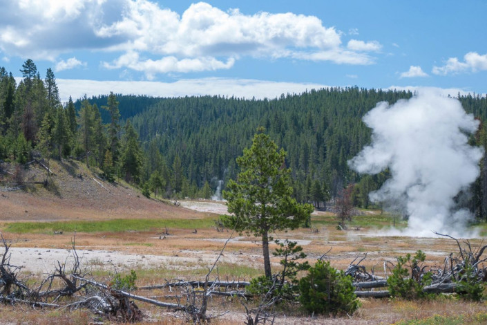 Bei einem Rundgang im Yellowstone Nationalpark raucht, blubbert, zischt und und dampft es, wohin das Auge blickt, USA