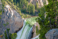 Die Lower Falls im Yellowstone Canyon sind nach Volumen gerechnet die größten Wasserfälle in den Rocky Mountains, USA - © James Camel / franks-travelbox.com
