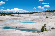 Fantastisches Panorama im von vulkanischer Aktivität geprägten Yellowstone Nationalpark, USA - © James Camel / franks-travelbox.com