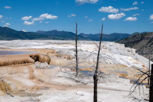 Im Lauf der Zeit schuf das fließende Thermalwasser bei Mammoth Hot Springs im Norden des Yellowstone Nationalparks bizarre Felsformationen, USA