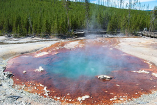 Im Yellowstone Nationalpark gibt es mehr als 10.000 heiße Quellen, USA