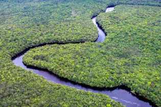 Der Orinoco in Venezuela und Kolumbien ist der zweitgrößte Fluss Südamerikas und der viertgrößte der Welt