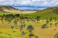 Die üppige Savannenlandschaft Gran Sabana zählt zu den prägenden Landschaftsformen im Nationalpark Canaima, Venezuela - © Vadim Petrakov / Shutterstock