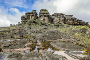 Nahezu die gesamte Bergkette des Mount Roraima besteht aus nacktem Sandstein, zerklüfteten Felsen, tiefen Schluchten oder sandigem Sumpf