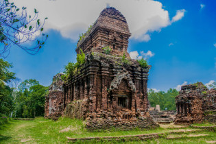 Eine von Farnen, Lianen und Moos überwucherte Ruine der Tempelstadt My Son inmitten des Dschungels, Vietnam