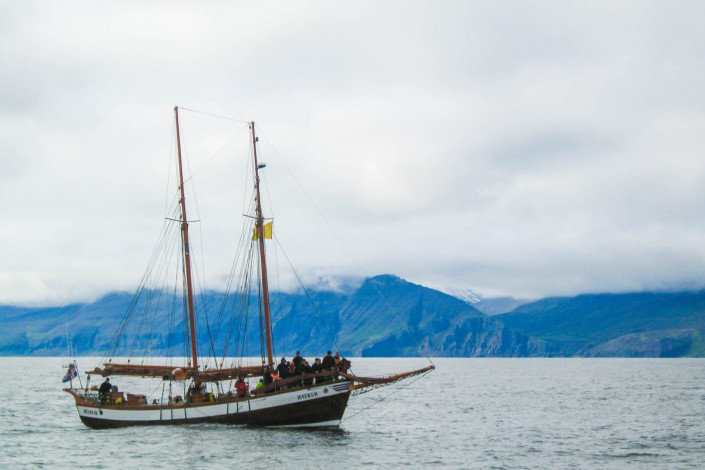 Ehemalige Walfangboote bringen Touristen von Húsavík durch die Skjálfandi-Bucht zum Whale Watching im Norden von Island