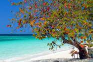 Der Sieben Meilen Strand an der Küste von Negril, Jamaika - © col / Shutterstock/ Shutterstock