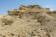 Auf der Fahrt vom Wadi Dhayqah zum Wadi Suwayh fährt man durch eine bizarre wüstenartige Landschaft, Oman - © FRASHO / franks-travelbox