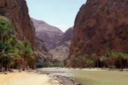 Das Wadi Shab kann am besten zu Fuß erkundet werden, Autos können direkt bei der Wadi-Mündung abgestellt werden, Oman - © diak / Shutterstock