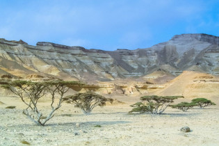 Das Wadi Shuwaymiyah gehört zu den schönsten Wadis im Oman, ist jedoch aufgrund seiner abgeschiedenen Lage in kaum einem Reiseführer erwähnt