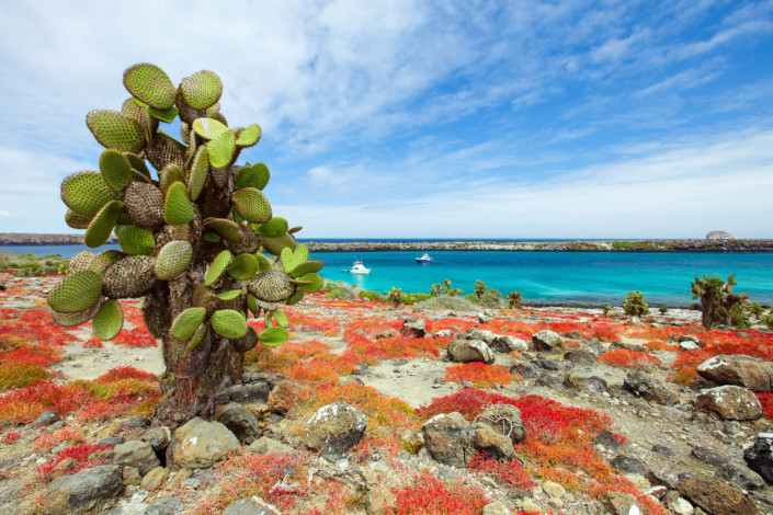 Eine wunderschöne und einmalig unberührte Landschaft erwartet die Besucher auf den Galapagosinseln