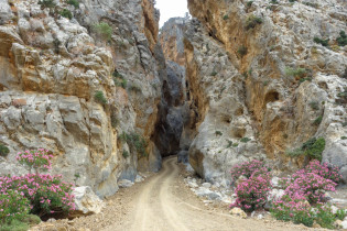 Die Tripiti-Schlucht an der Südküste von Kreta, Griechenland, kann komplett mit dem Allrad-Fahrzeug durchfahren werden