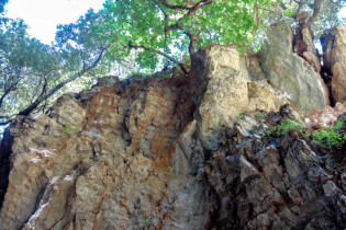 Entlang der steilen Wände der Imbros Schlucht auf Kreta, Griechenland, lohnt sich hin und wieder ein Blick auf die teils üppige Vegetation