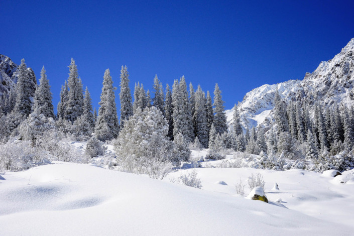 Im Winter verschwindet der Ala-Archa-Nationalpark unter eine dichten Schneedecke, Kirgistan