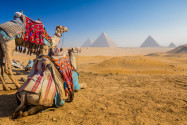 Die Pyramiden von Gizeh befinden sich in der Wüste von Ägypten westlich des Nil rund 15km von Kairo entfernt - © Kanuman / Shutterstock