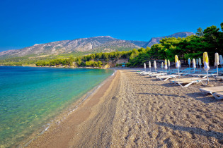 Die winzigen Kiesel sorgen am Strand von Zlatni Rat für kristallklares Wasser und ein dichter Wald aus Kiefern und Pinien für natürlichen Schutz vor der Sonne, Insel Brac, Kroatien