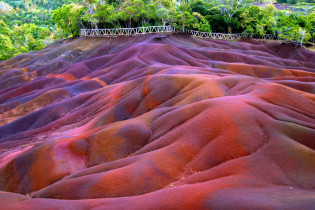 Das einzigartige Farbenspiel der "Siebenfarbigen Erde" bei Chamarel entstand durch Umwandlung von Basaltlava in Tonminerale, Mauritius
