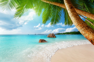 Der berühmteste Strand auf Praslin, der Anse Lazio, diente aufgrund seiner überwältigenden Schönheit bereits als paradiesische Kulisse einer Bacardi-Werbung, Seychellen