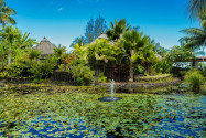 Der knapp 5 Hektar große Pā'ōfa'i Gardens in Papeete liegt gleich am Meer und präsentiert die tropische Pflanzenwelt von Französisch-Polynesien - © Pascale Gueret / Shutterstock
