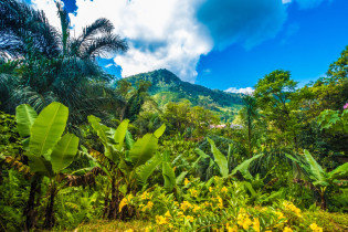 Die Attraktion im Ranomafana Nationalpark in Madagaskar sind die üppig grünen Bergregenwälder, ideal zum  eintauchen in die wilde tropische Natur