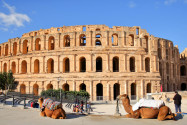 Das beeindruckende römische Amphitheater von El Jem, mit Kamelen im Vordergrund, Tunesien - © Christophe Cappelli / Shutterstock