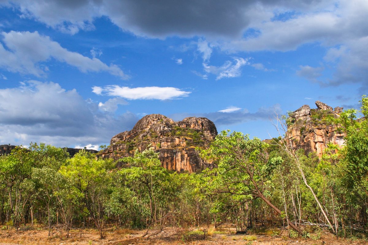 Der Kakadu Nationalpark zählt aufgrund seiner Vielfalt an verschiedenen Lebensräumen zu den schönsten Nationalparks der Welt, Australien - © ezk / franks-travelbox