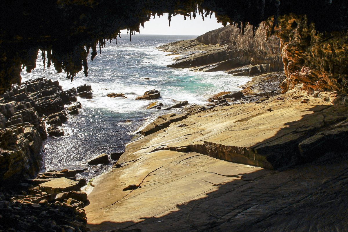 Eine Höhle am Admiral's Arch im Flinders Chase Nationalpark auf Kangaroo Island, Australien - © alfotokunst / Shutterstock
