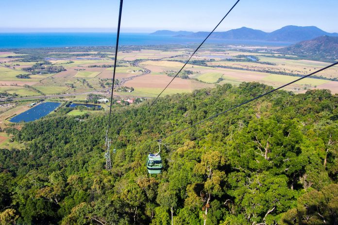 Die Skyrail Rainforest Cableway ist eine spektakuläre Seilbahn, deren Kabineninsassen auf einer 8km langen Strecke wenige Meter über dem Regenwald schweben, Kuranda, Australien - © tomoki1970 - Fotolia