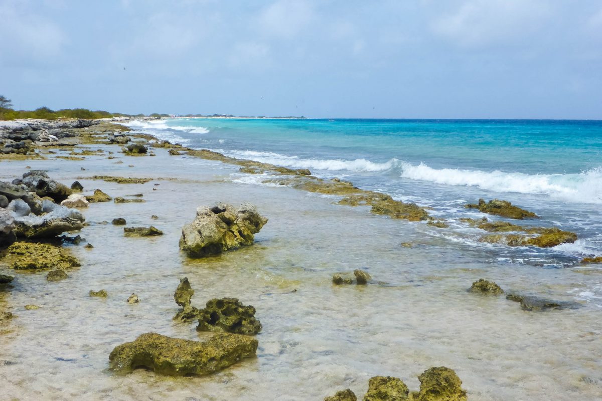 Die ruhige See, das dadurch kristallklare Wasser und die tropischen Fische bieten auf Bonaire perfekte Tauch- und Schnorchelbedingungen, hier in der Margate Bay - © Lila Pharao / franks-travelbox
