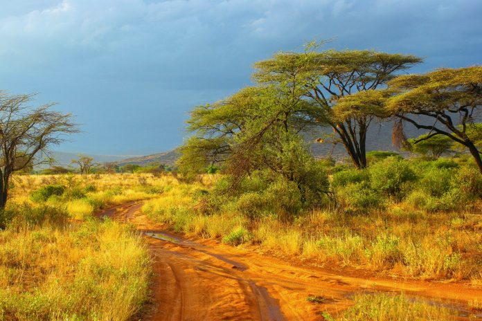 Typische afrikanische Landschaft mit roter Erde und Schirmakazien - hier im Samburu Nationalpark in Kenia - © Piotr Gatlik / Shutterstock