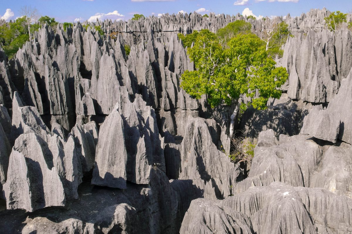 Tsingy de Bemahara bedeutet etwa "wo man nicht barfuß gehen kann" - sehr passend für den Nationalpark im Westen Madagaskars - © Oscar Espinosa / Shutterstock