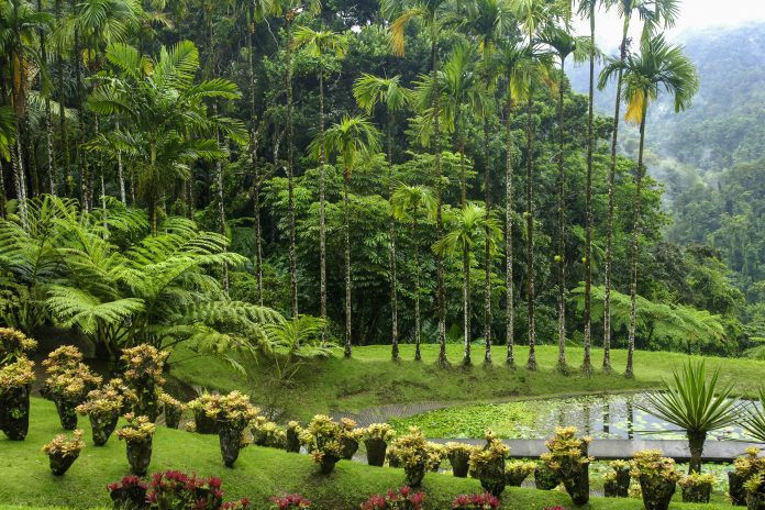 Der botanische Garten von Balata wurde Ende des 20. Jahrhunderts angelegt und zählt zu den schönsten Gärten der Karibik, Martinique - © Pack-Shot / Shutterstock