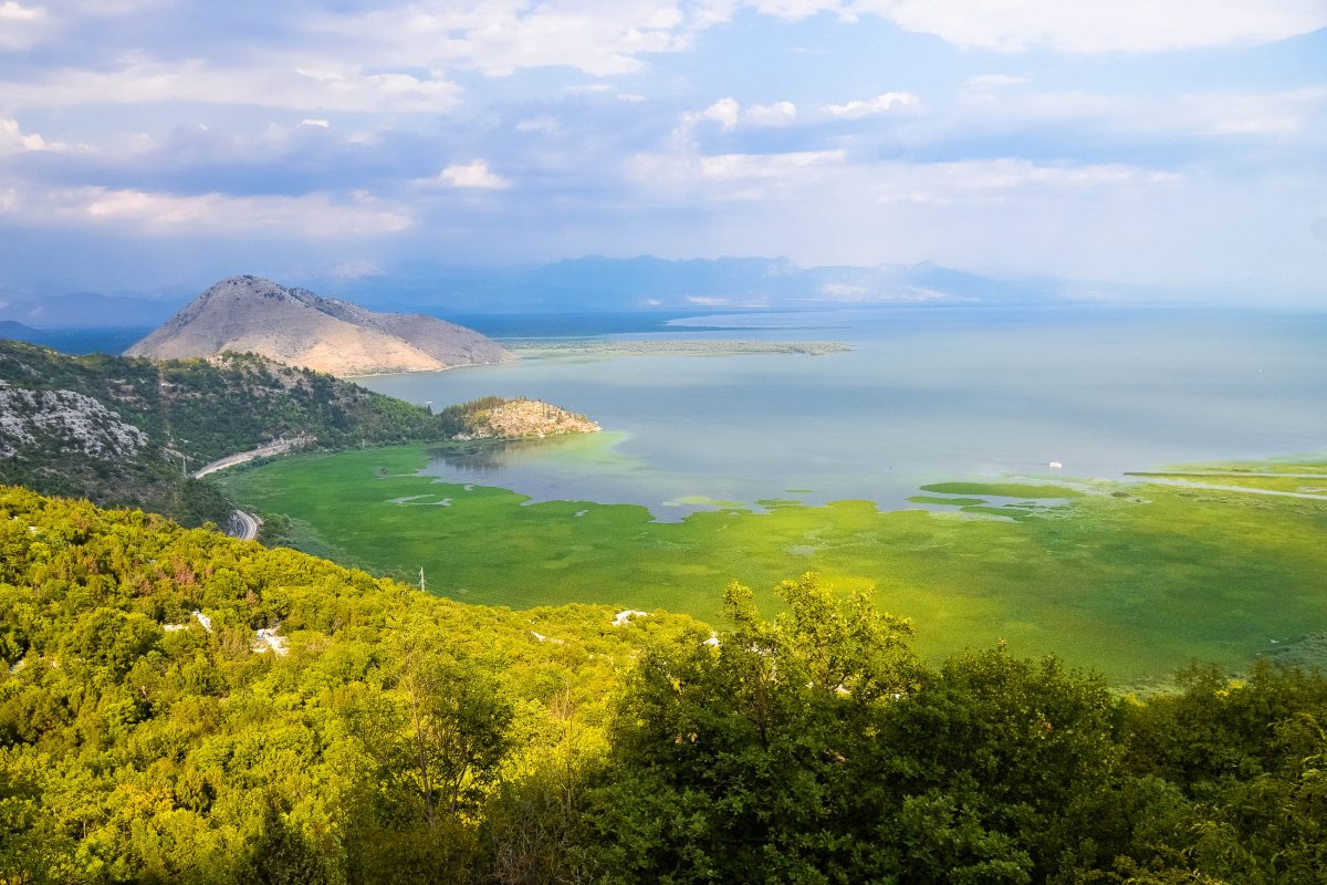 Der Skadar-See wird durch eine Vielzahl von unterirdischen Zuflüssen aus dem umliegenden Bergland gespeist; diese kühlen Quellen verhindern, dass der See im Sommer zu warm wird und kippt, Montenegro - © FRASHO / franks-travelbox