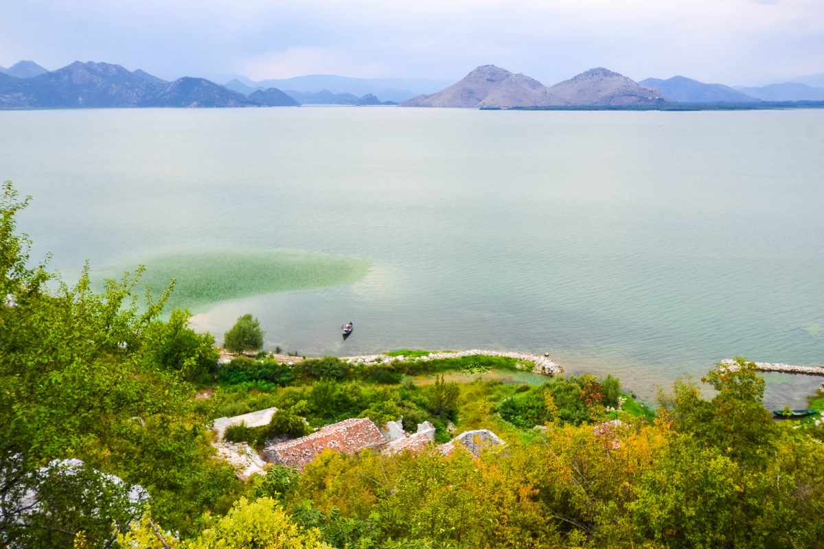 Seit 1983 steht der montenegrinische Teil des Skadar-Sees mit einer Fläche von 40.000 Hektar als Skadarsko Jezero Nationalpark unter Schutz und schließt auch weitläufige Ufergebiete ein, Montenegro - © FRASHO / franks-travelbox